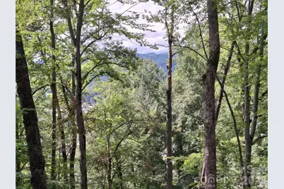 79 Bacon Drive, Bryson City, NC 28713 - Photo 9