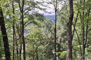 79 Bacon Dr, Bryson City, NC 28713 - Photo 9