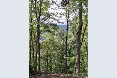 79 Bacon Drive #3, Bryson City, NC 28713 - Photo 7