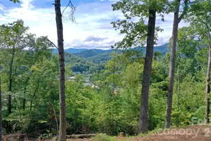 81 Bacon Dr, Bryson City, NC 28713 - Photo 33