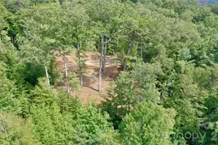 81 Bacon Dr, Bryson City, NC 28713 - Photo 29