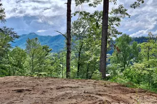 81 Bacon Dr, Bryson City, NC 28713 - Photo 21