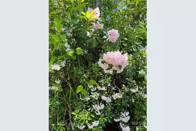 Lot 6 Rosewood Lane, Burnsville, NC 28714 - Photo 1