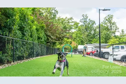 10624 Parrish Street #B6, Matthews, NC 28105 - Photo 17