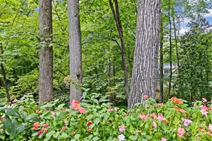 3041 Valencia Terrace, Charlotte, NC 28211 - Photo 43