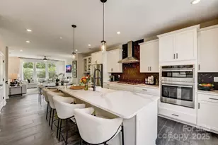 504 Annie Lowery Wy, Davidson, NC 28036 - Photo 21