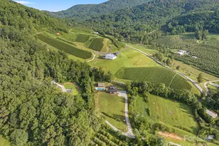 1138 Green Mountain Rd, Hendersonville, NC 28792 - Photo 45