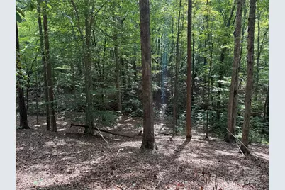 0 Mountain Brook Trail #298, Nebo, NC 28761 - Photo 3