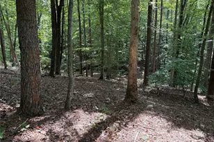 0 Mountain Brook Trail, Nebo, NC 28761 - Photo 1