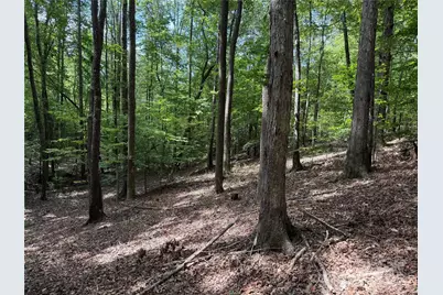 0 Mountain Brook Trail #298, Nebo, NC 28761 - Photo 5