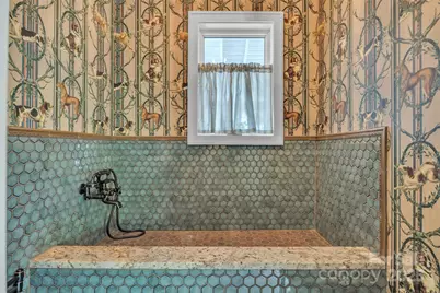 230 Nc 88 Highway E, Jefferson, NC 28640 - Photo 43