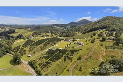 230 Nc 88 Highway E, Jefferson, NC 28640 - Photo 5