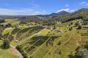 230 Nc 88 Hwy E, Jefferson, NC 28640 - Photo 5