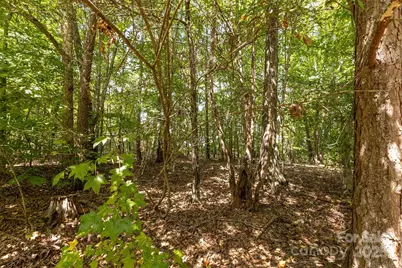 8068 Summit Ridge Drive, Catawba, NC 28609 - Photo 27