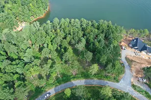 2199 Castle Peak Mountain None, Connelly Springs, NC 28612 - Photo 25