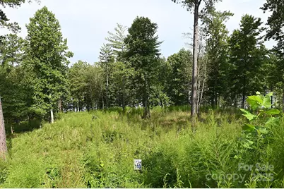 2199 Castle Peak Mountain None #140, Connelly Springs, NC 28612 - Photo 29