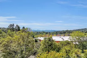 17 Elkmont Terrace, Asheville, NC 28804 - Photo 19