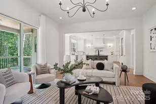 14217 Hollins Grove Ave, Huntersville, NC 28078 - Photo 9