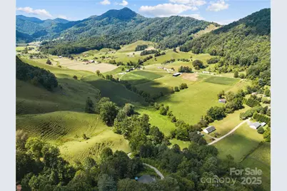 75 N Coyote Springs Farm Road, Leicester, NC 28748 - Photo 29