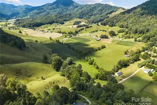 75 N Coyote Springs Farm Rd, Leicester, NC 28748 - Photo 29