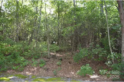 Lot 9 Galax Lane #9, Brevard, NC 28712 - Photo 1