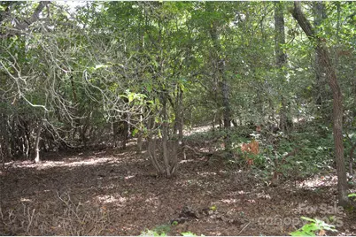 Lot 9 Galax Lane #9, Brevard, NC 28712 - Photo 3