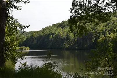 Lot 9 Galax Lane #9, Brevard, NC 28712 - Photo 9