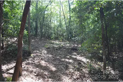Lot 9 Galax Lane #9, Brevard, NC 28712 - Photo 5