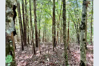 3.31 Acres, Lot 37 Poplar Bluff Drive SE #37, Lenoir, NC 28645 - Photo 11