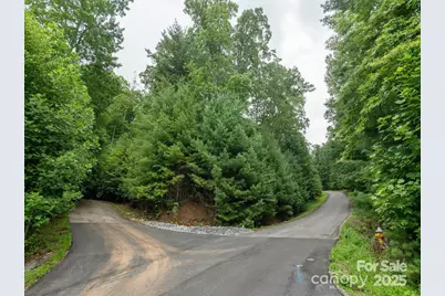 00 Willow Brook Falls None #3, Hendersonville, NC 28739 - Photo 3