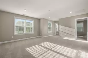 16001 Arabian Mews Ln, Charlotte, NC 28278 - Photo 27