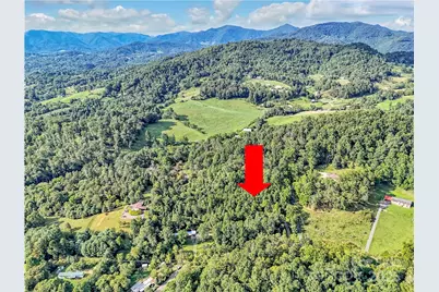 323 Jody Cove, Canton, NC 28716 - Photo 3