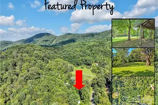 323 Jody Cove, Canton, NC 28716 - Photo 5