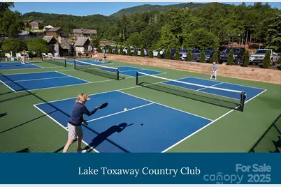 242 Club Colony Lane, Lake Toxaway, NC 28747 - Photo 43