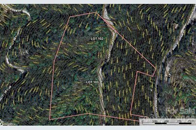 Tbd Hickory Hollow Road #102 & 103, Purlear, NC 28665 - Photo 19