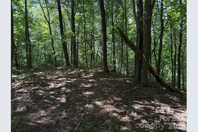 Tbd Hickory Hollow Road #102 & 103, Purlear, NC 28665 - Photo 15