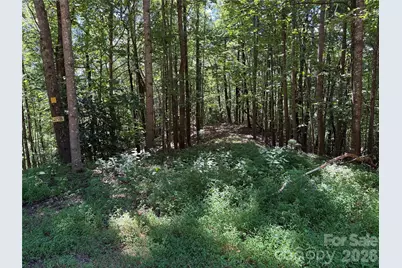 Tbd Hickory Hollow Road #102 & 103, Purlear, NC 28665 - Photo 13