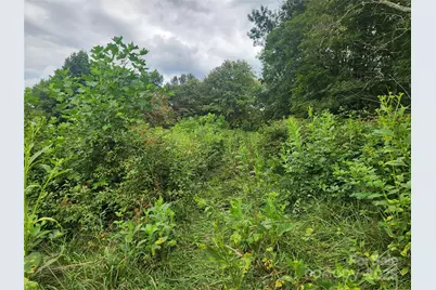 1925 S Fork Road, Marshall, NC 28753 - Photo 37