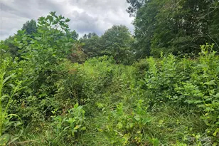 1925 S Fork Rd, Marshall, NC 28753 - Photo 37