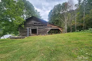 1925 S Fork Rd, Marshall, NC 28753 - Photo 3