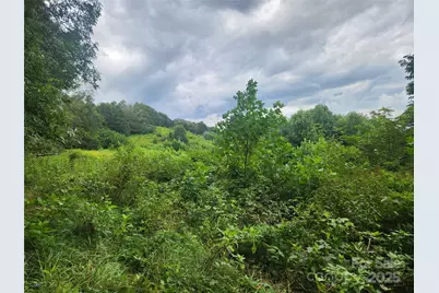 1925 S Fork Road, Marshall, NC 28753 - Photo 41