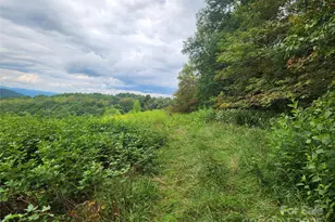 1925 S Fork Rd, Marshall, NC 28753 - Photo 29