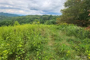 1925 S Fork Rd, Marshall, NC 28753 - Photo 33