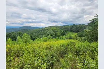 1925 S Fork Road, Marshall, NC 28753 - Photo 35