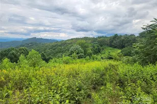 1925 S Fork Rd, Marshall, NC 28753 - Photo 35