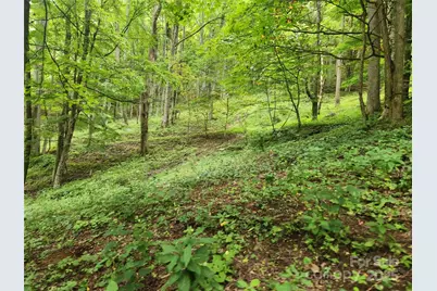 1925 S Fork Road, Marshall, NC 28753 - Photo 21