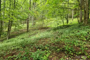 1925 S Fork Rd, Marshall, NC 28753 - Photo 21