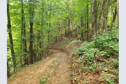 1925 S Fork Road, Marshall, NC 28753 - Photo 19