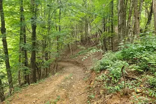 1925 S Fork Rd, Marshall, NC 28753 - Photo 19