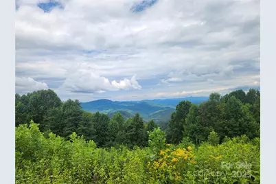 1925 S Fork Road, Marshall, NC 28753 - Photo 39